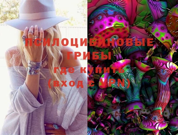 ешки Волоколамск