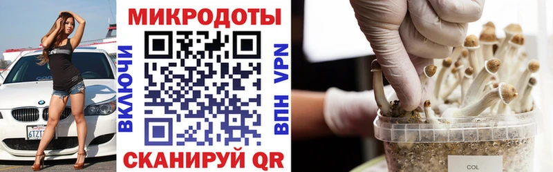 Купить закладки  Клин  Галлюциногенные грибы мицелий 